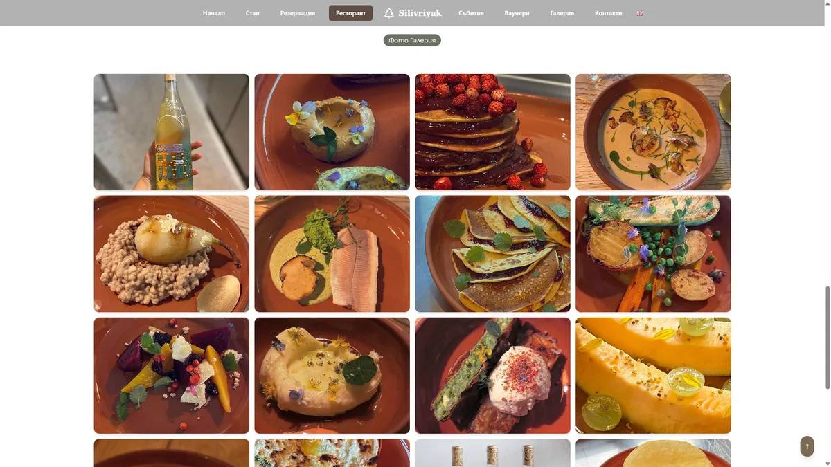 Онлайн платформа за Къща за гости Silivriyak gallery image 17